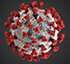 image of coronavirus