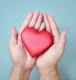 Heart in Hands