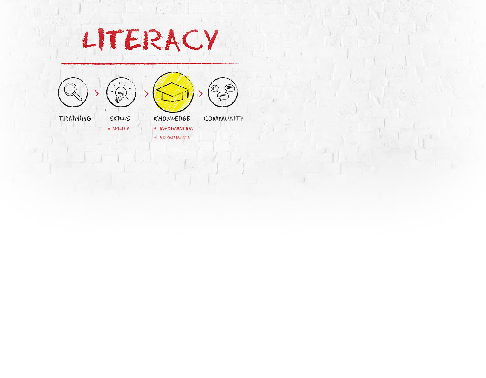Literacy