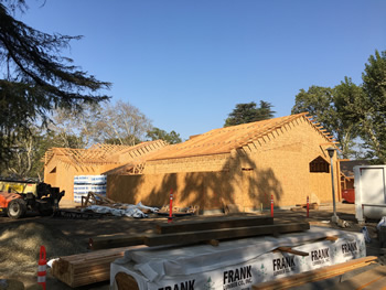 View of the exterior library plywood walls.